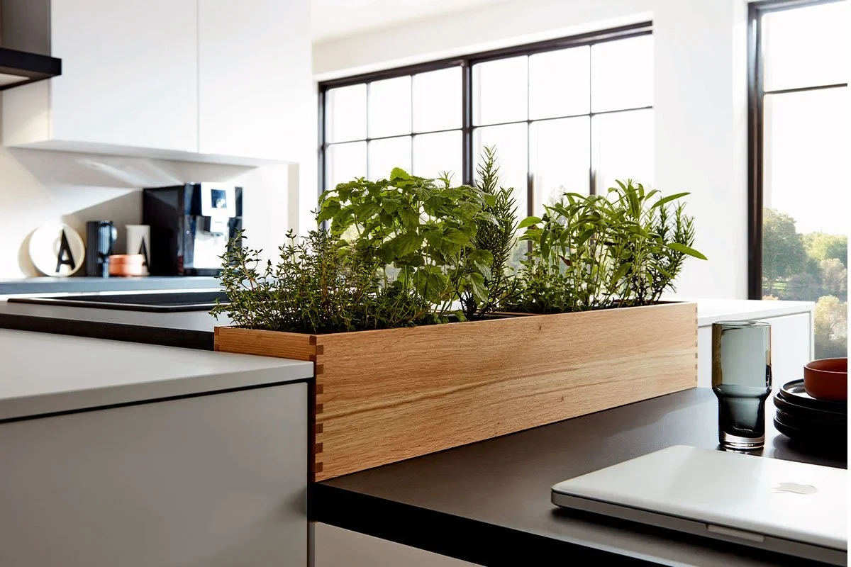 decluttered german kitchen with plants minimalist style