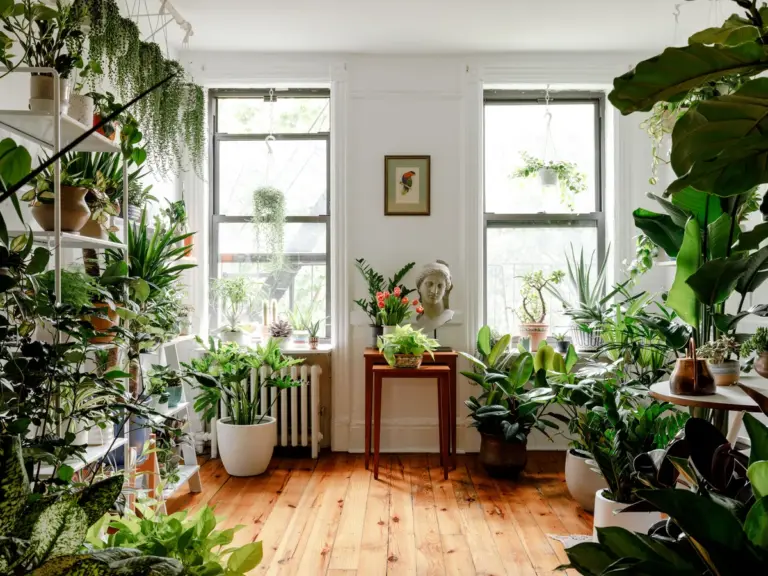 cosy feng shui inspired german living room natural light plants