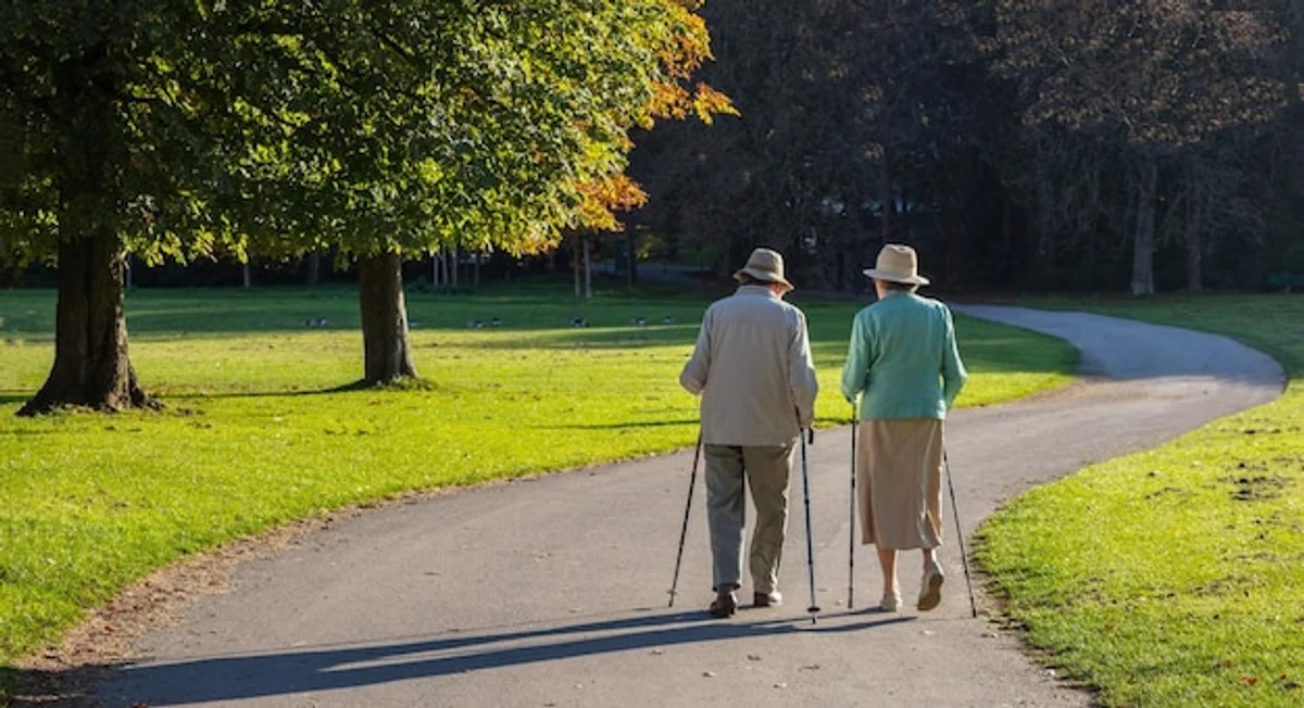 senior couple wheelchair traveling in nature germany
