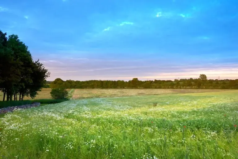 sustainable travel Germany nature