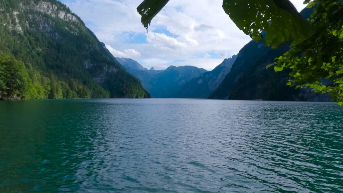 german national park sustainable tourism forest