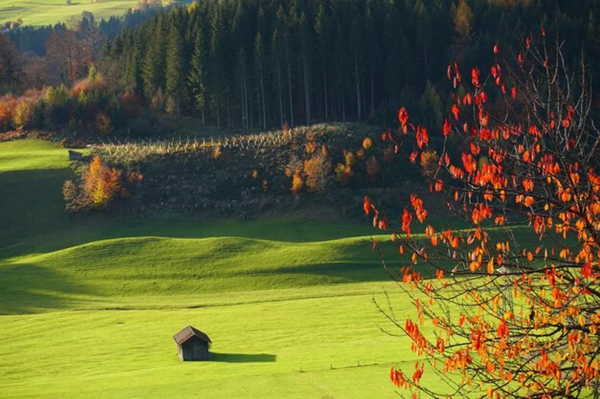 tiny house holiday germany nature eco friendly