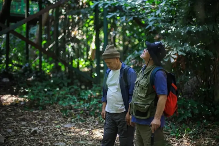 senior adventure travel relaxed exploring over 60