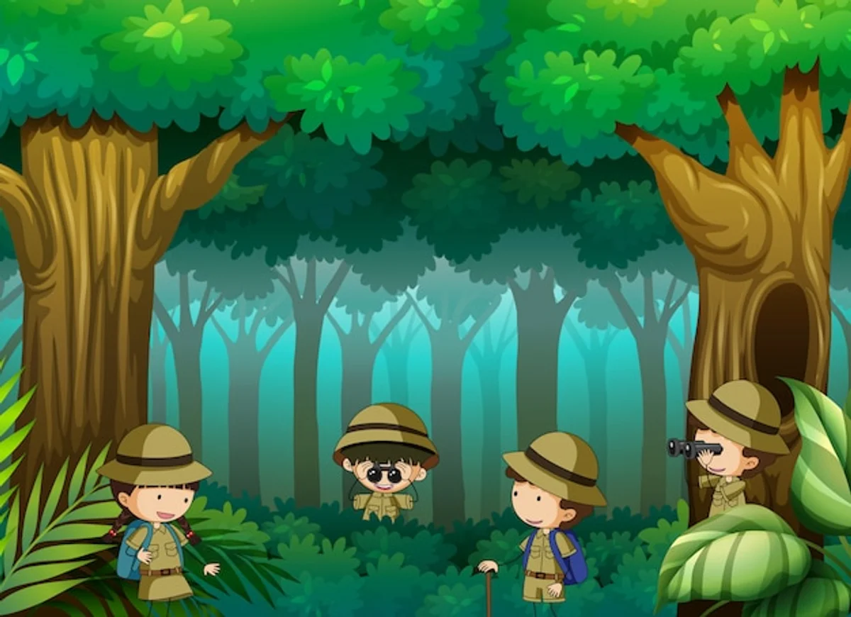 children exploring forest creativity adventure