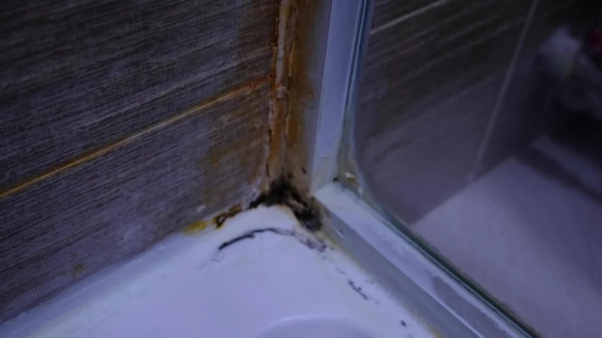 mold in bathtub close up bathroom moisture