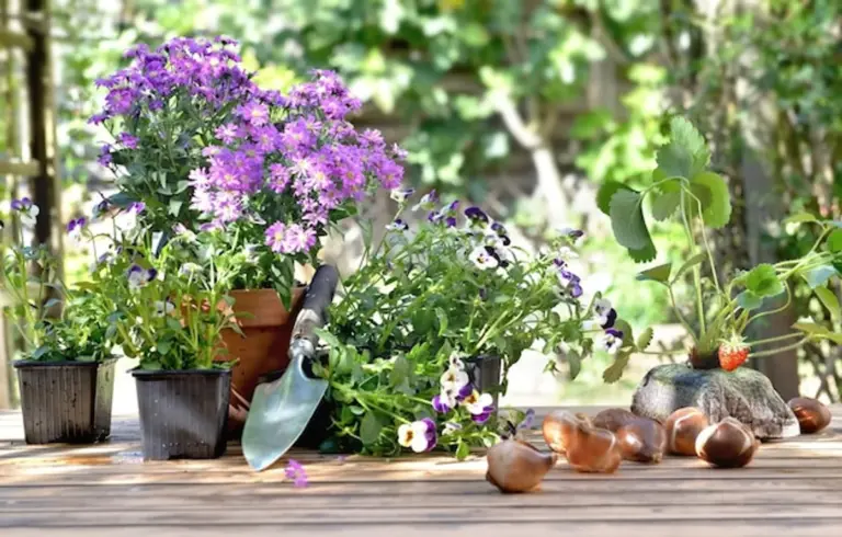 rain barrel garden eco German backyard