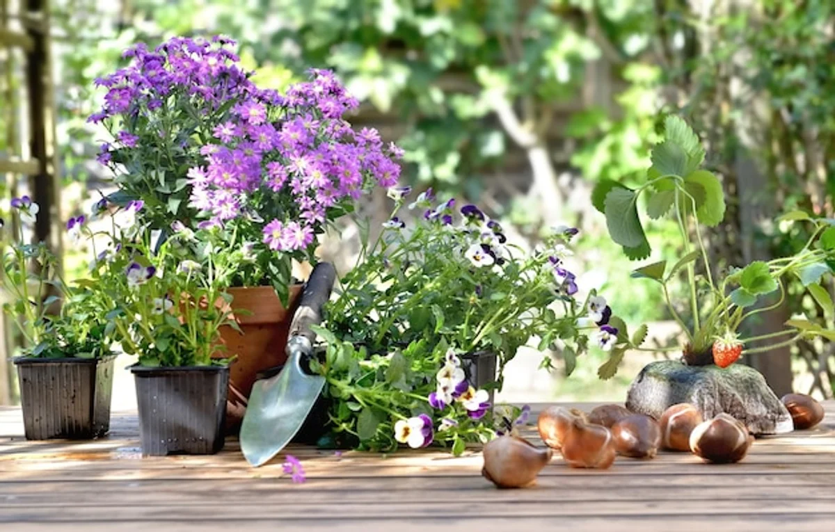 rain barrel garden eco German backyard