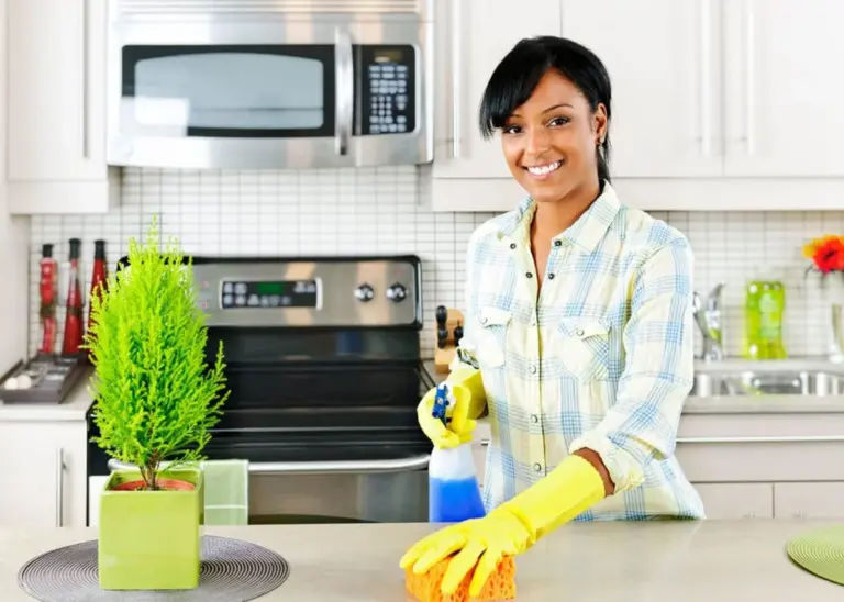 eco friendly kitchen cleaning old sock household hack