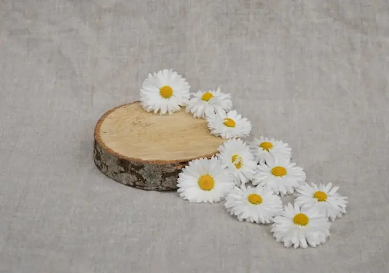 organic skincare products Germany minimal stylish