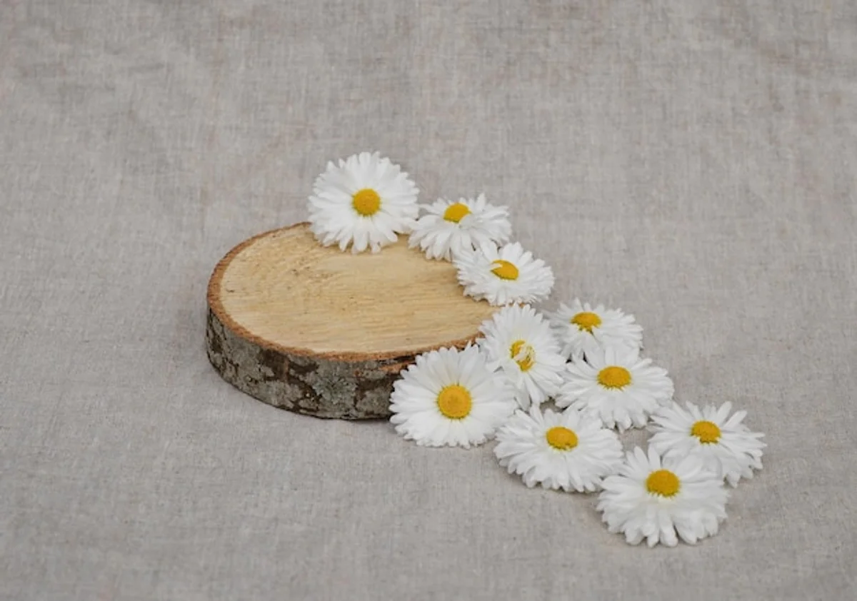 organic skincare products Germany minimal stylish