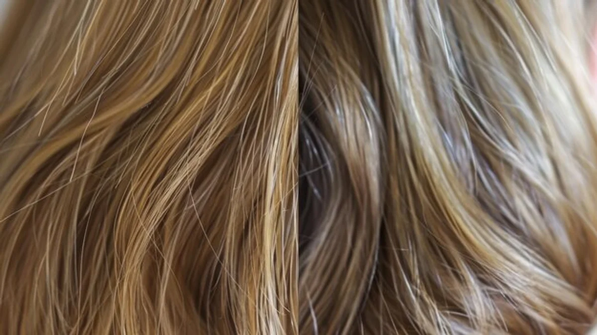 close up hair before after dryness