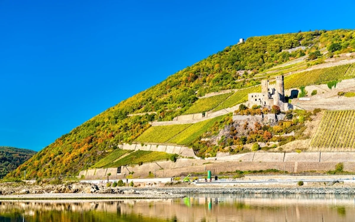 train ride along rhine river castles vineyard germany