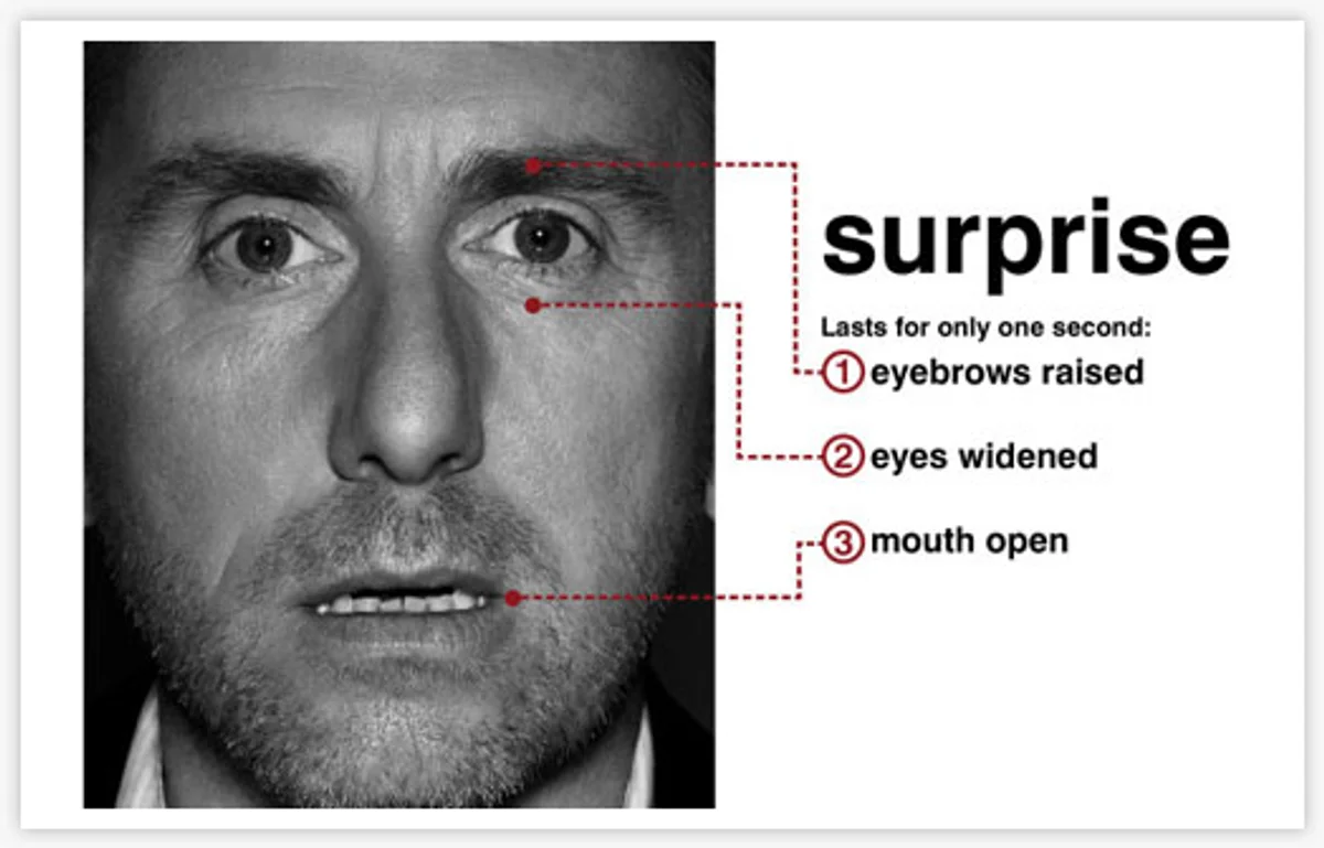 micro expressions facial recognition uncomfortable conversation