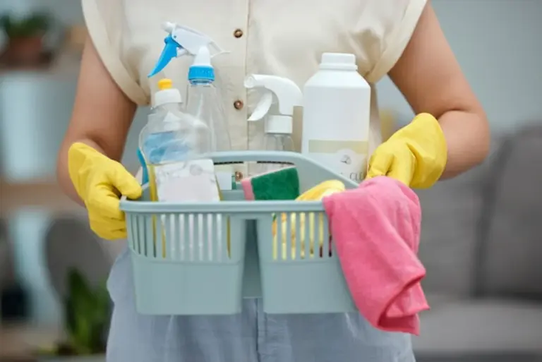 eco friendly cleaning products family at home