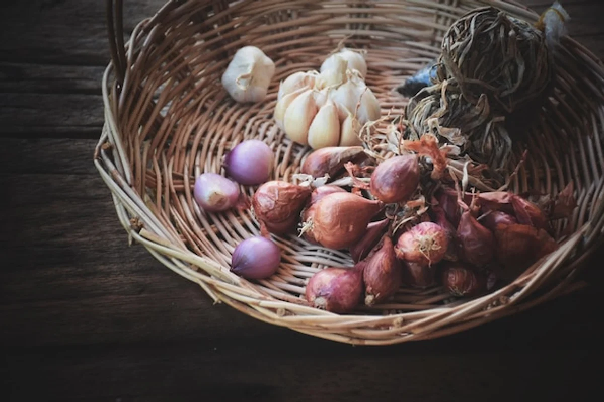 fresh garlic bulbs in pantry basket storage