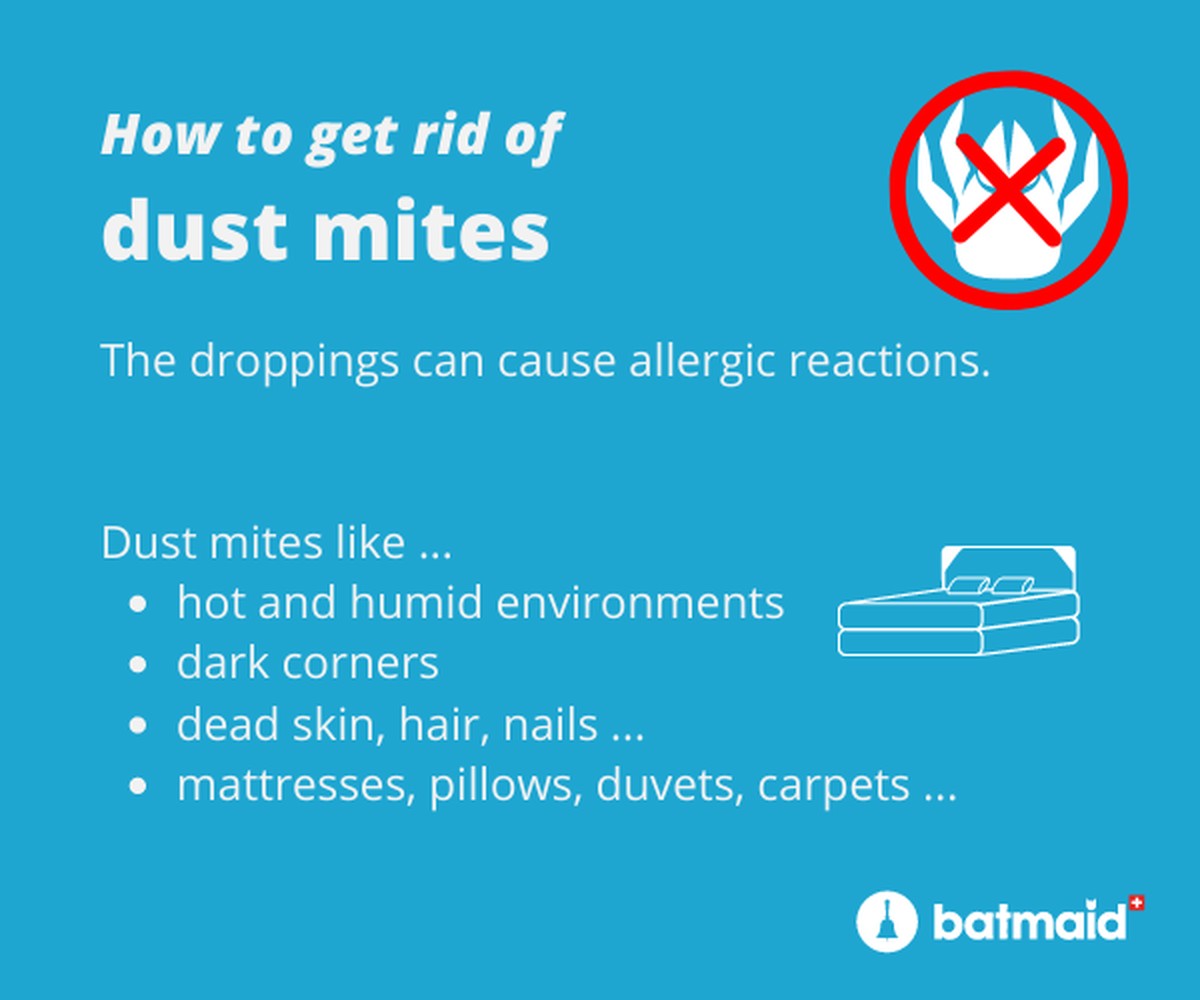 Backpulver auf der Matratze – das 10-Minuten-Geheimnis gegen Milben - image 2