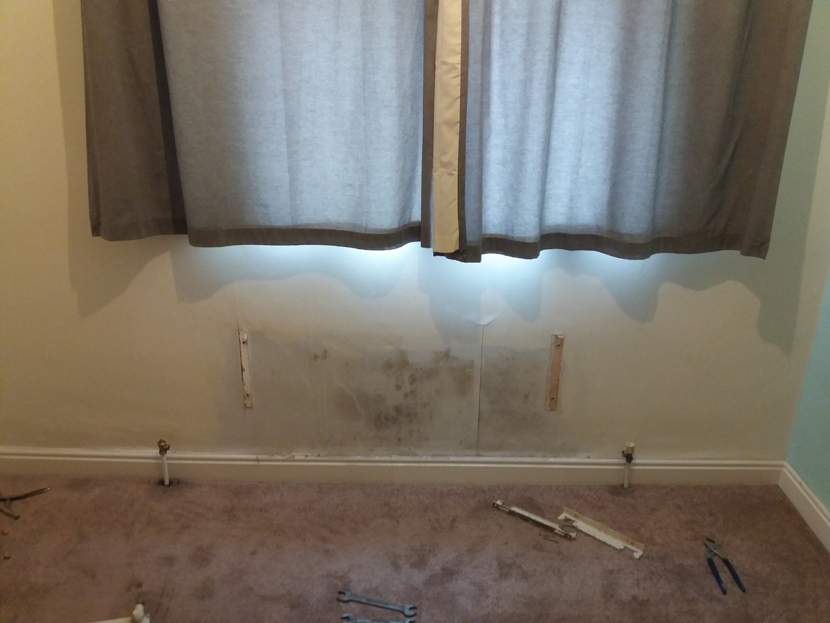 Backpulver hinter die Heizung: Die vergessene Lösung gegen Schimmel - image 1