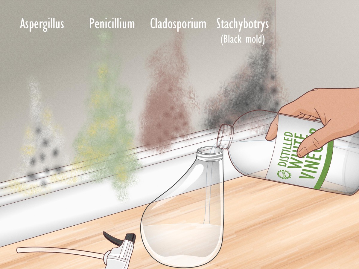 Essig auf den Fensterrahmen: So verschwinden Schimmelflecken in 48 Stunden - image 1