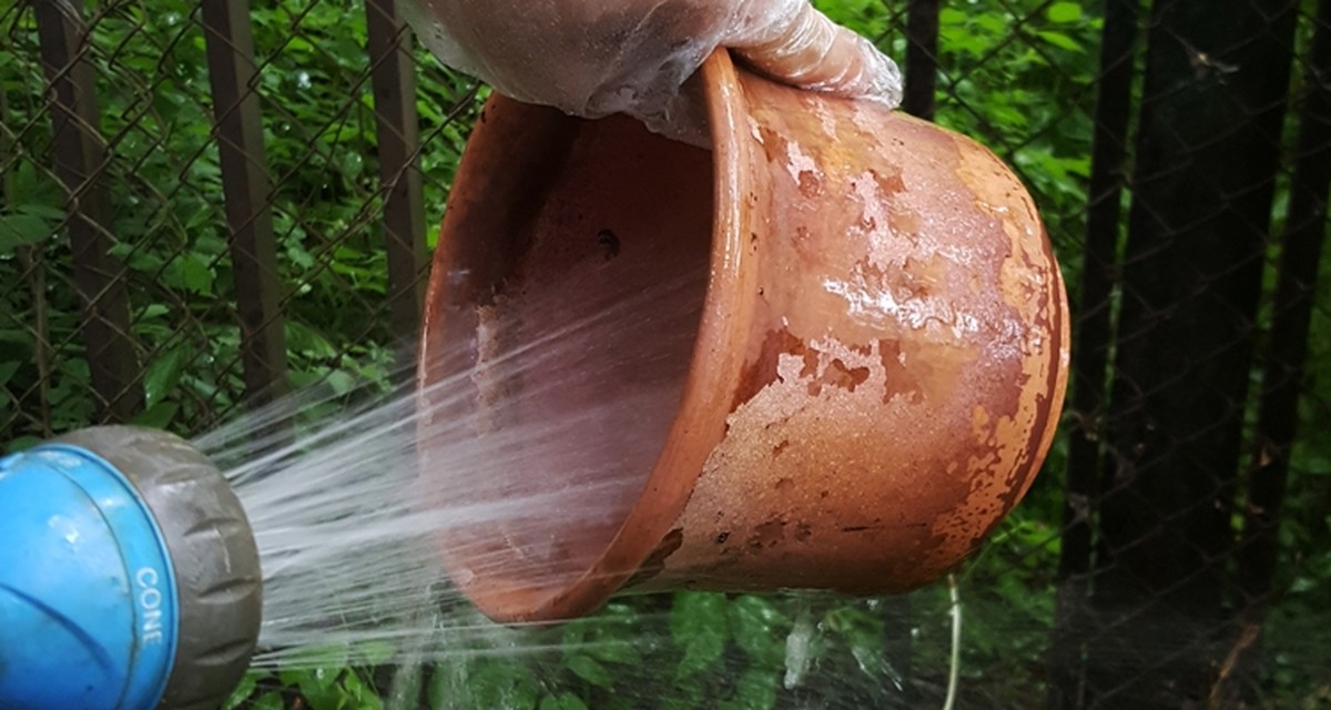 Essig im Blumentopf: Das Wundermittel gegen Kalkflecken und Algen - image 1