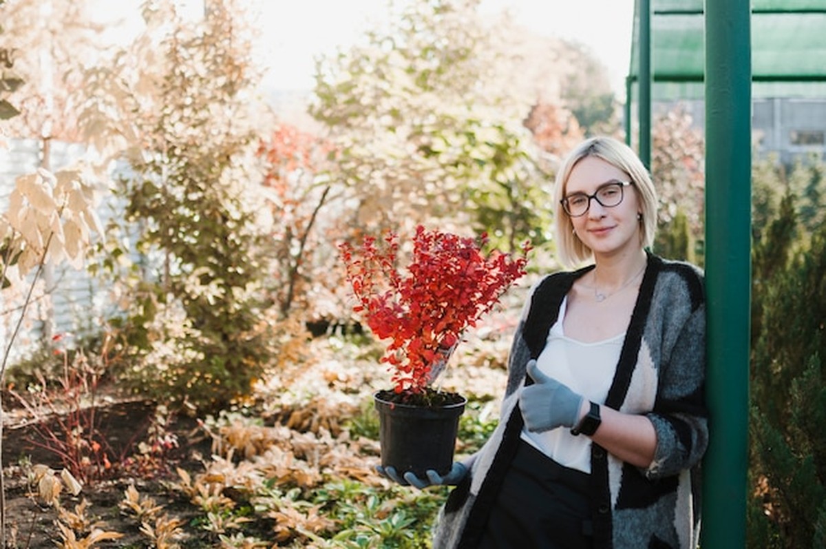 Gartenpflege für 60+: So wird alles winterfest - image 1