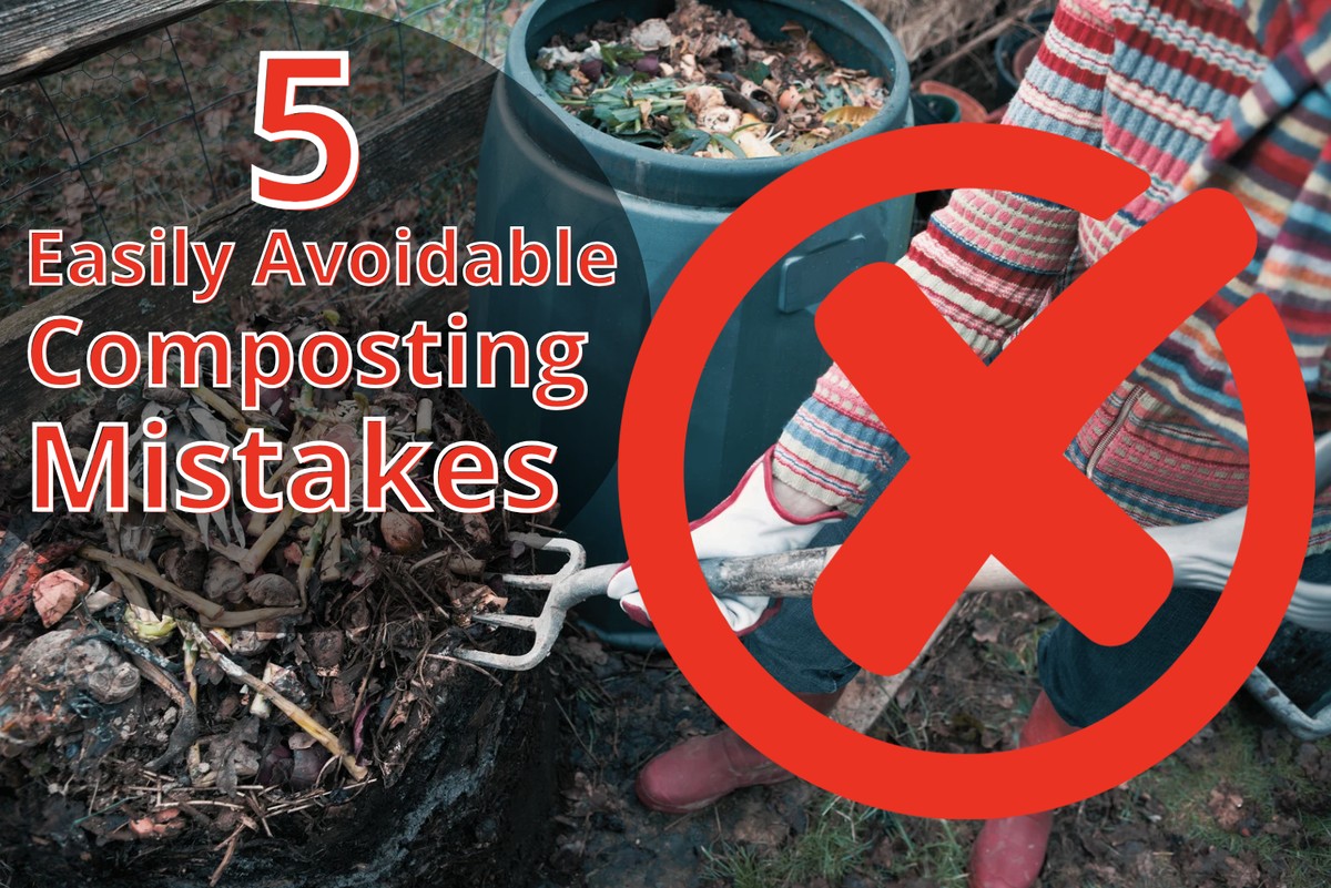 Gärtner warnen: Diese 3 Dinge gehören NICHT auf den Kompost