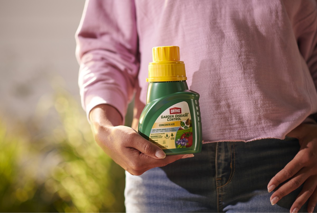 Gärtner warnen: Diese Pflanzenschutzfehler kosten Sie Ihre Ernte - image 1