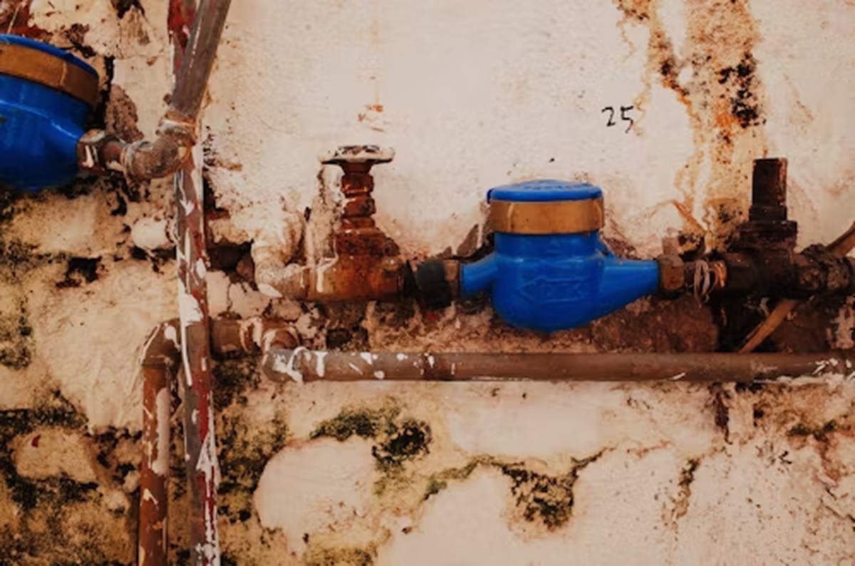 Installateurs warnen: Dieses Speiseöl verstopft garantiert Ihre Rohre - image 1