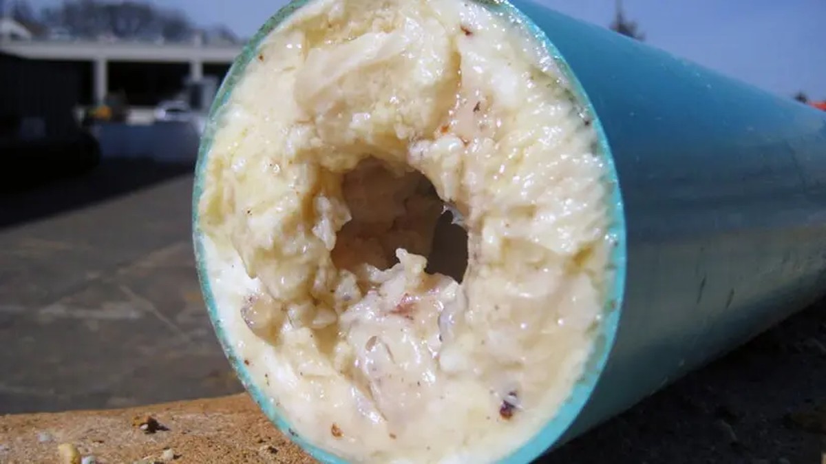 Klempner warnen: Dieses Öl darf niemals in den Abfluss - image 1