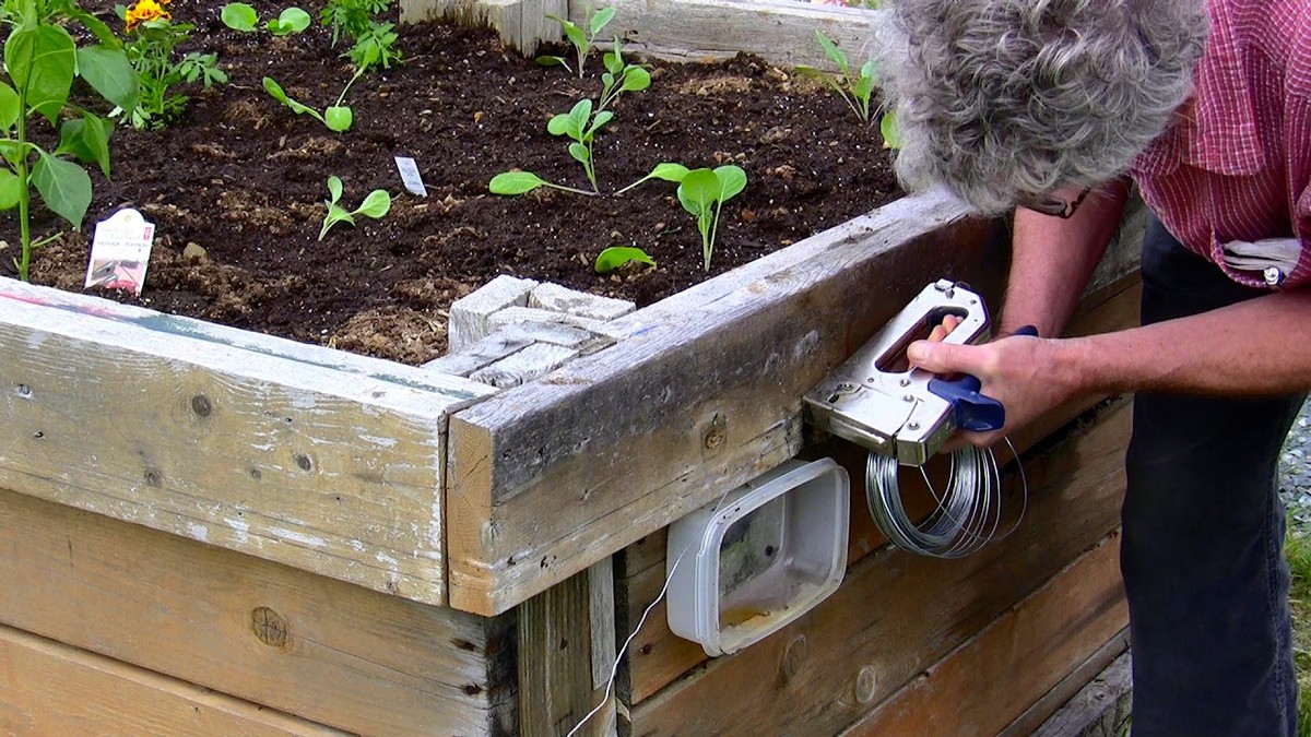 Salzwasser im Blumentopf – warum Gärtner damit Ungeziefer besiegen - image 1