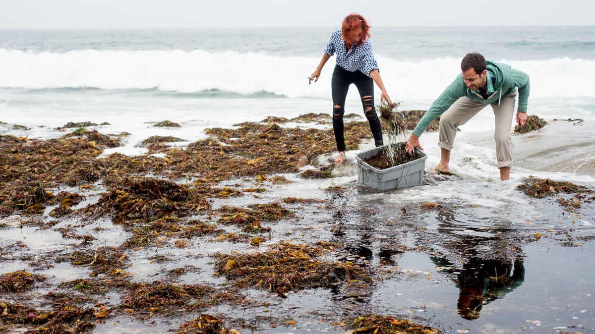 Salzwasser in der Gießkanne: Das Geheimnis für Balkonblüten bis Oktober - image 1