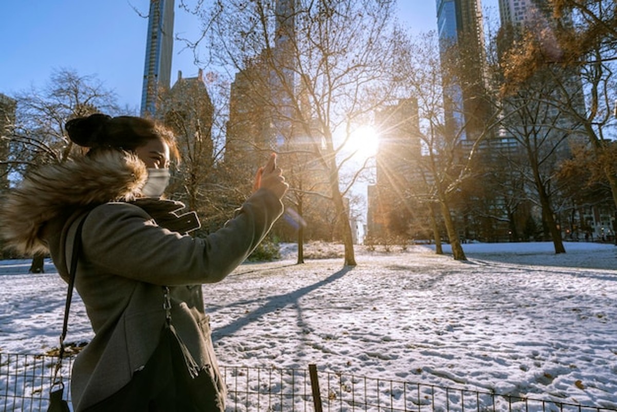 So halten Ihre Pflanzen den Winter wirklich durch - image 2