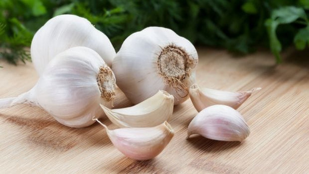 Was Gärtner schon immer wussten: Warum Knoblauch gegen Blattläuse hilft - image 2