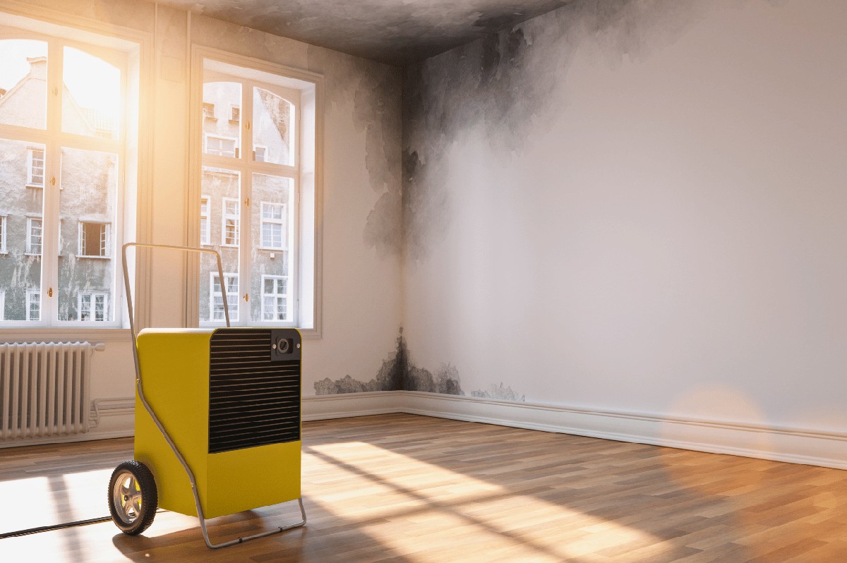 Zeitungspapier unterm Bett – die vergessene Methode gegen Feuchtigkeit im Schlafzimmer - image 1