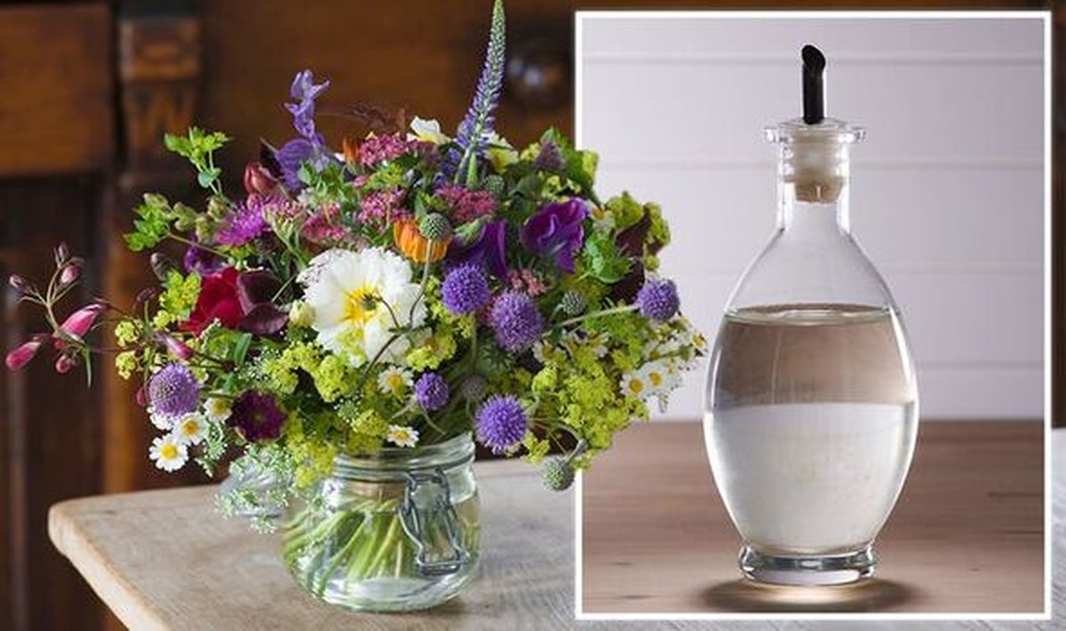 Essig im Blumenwasser: Warum Ihre Schnittblumen 3 Wochen länger halten - image 2