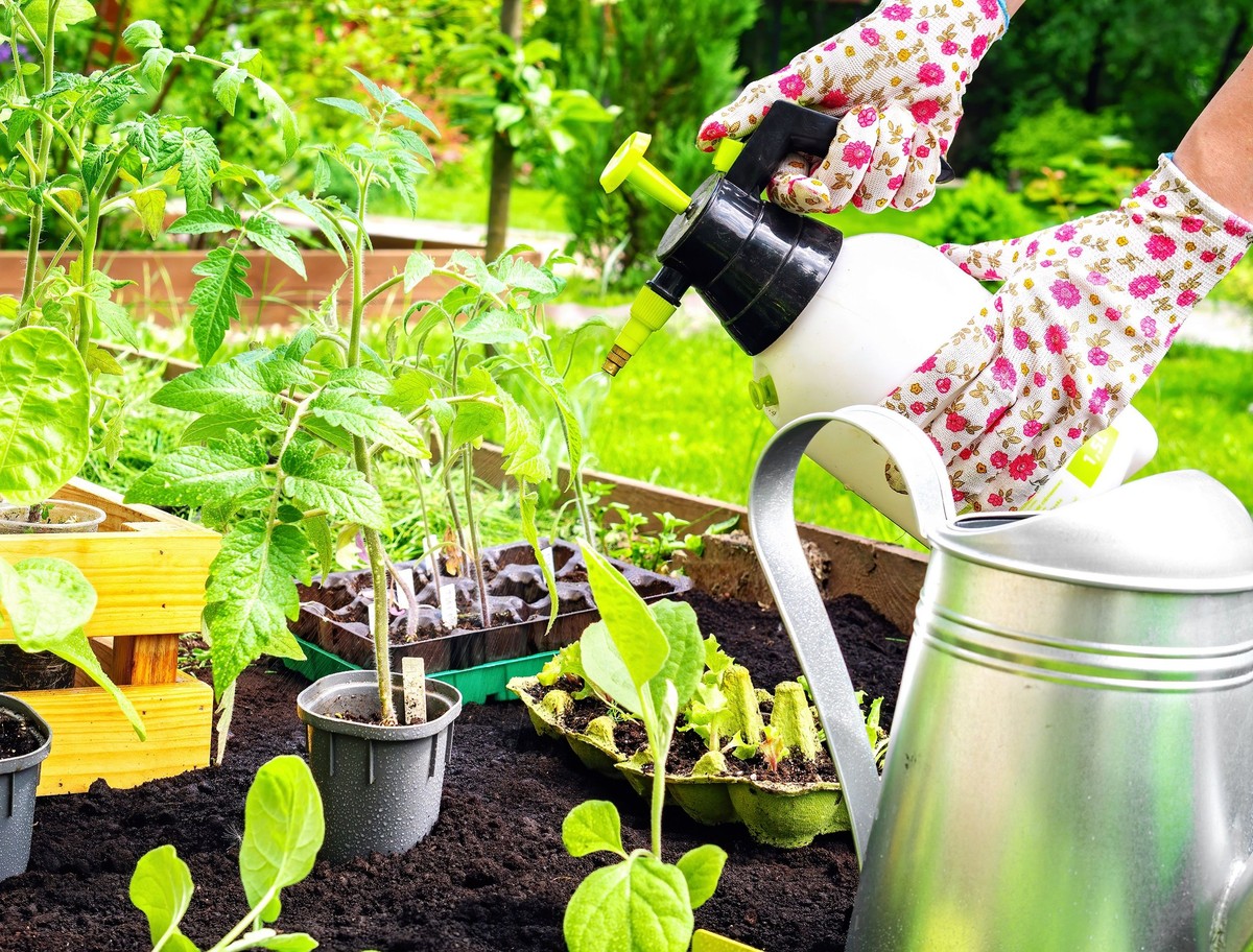 Essig im Gießwasser: Warum Ihre Balkonpflanzen plötzlich explodieren vor Wachstum - image 1