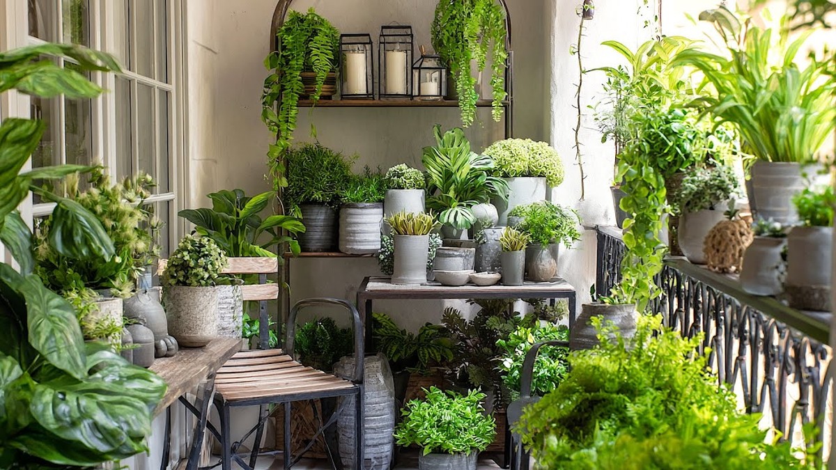 Essig im Gießwasser: Warum Ihre Balkonpflanzen plötzlich explodieren vor Wachstum - image 2