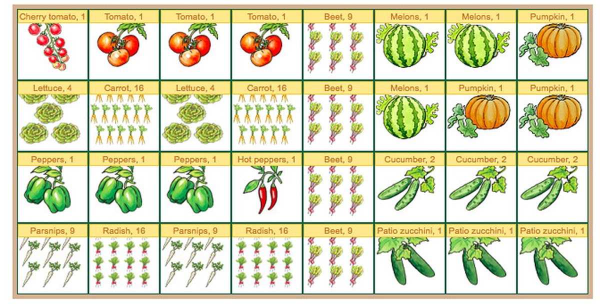 Gärtner enthüllen: Diese Pflanzzeit garantiert doppelte Ernte im Herbst - image 2