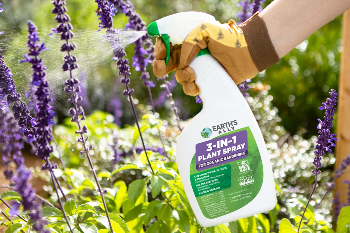 Gärtner gestehen: Das einzige Mittel gegen Blattläuse funktioniert wirklich - image 1