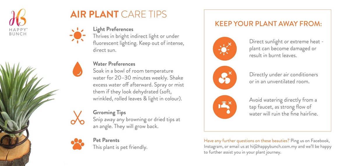 Gärtner gestehen: Warum sie niemals Wasser über die Blätter gießen - image 2