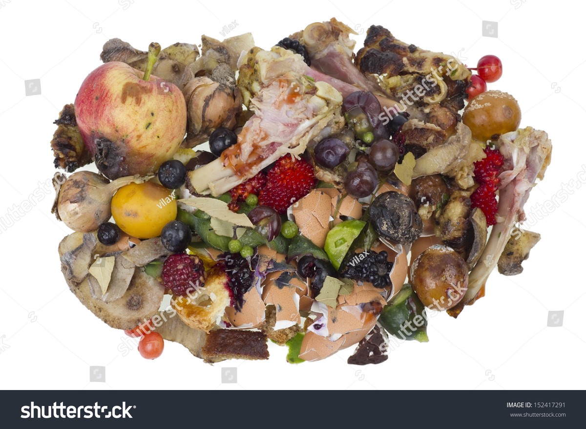 Gärtner warnen: Diese 3 Dinge gehören niemals auf den Kompost - image 1