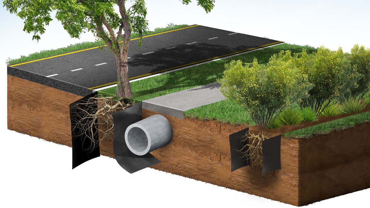 Gärtner warnen: Diese eine Pflanze tötet Ihre anderen ab - image 2