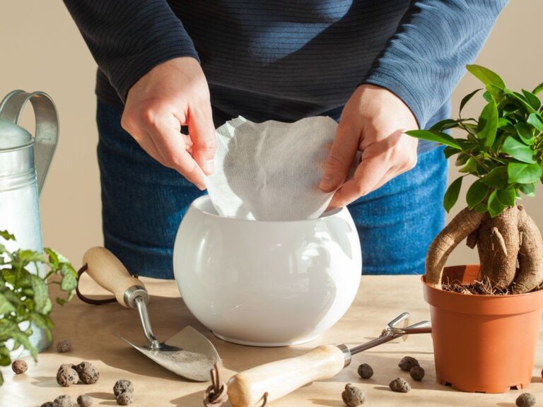 Kaffeefilter statt Küchenrolle: Die Sparidee, die Gärtner lieben