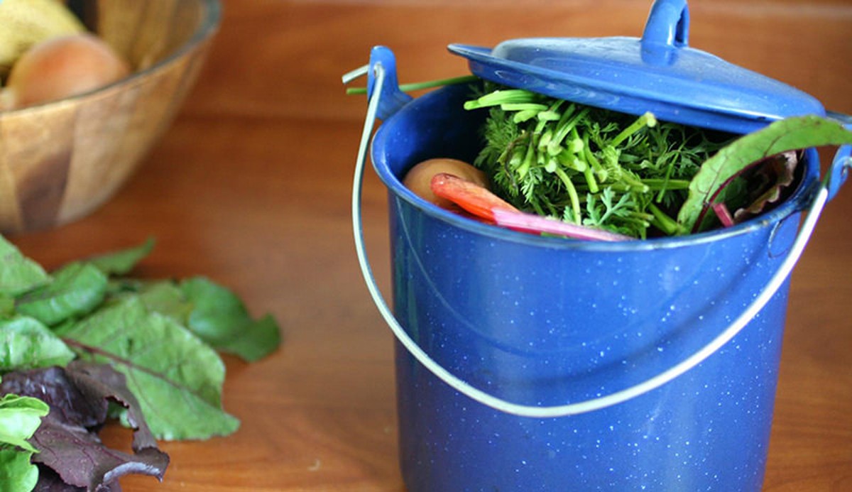 Kaffeesatz als Dünger – Gärtner wollen nicht, dass Sie das wissen - image 2