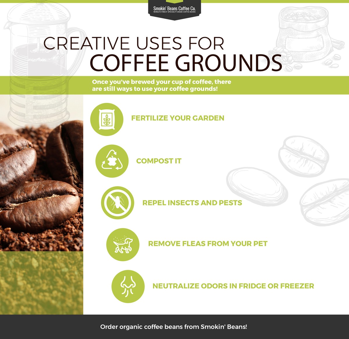 Kaffeesatz in der Küche: 5 Verwendungen, die dein Leben verändern