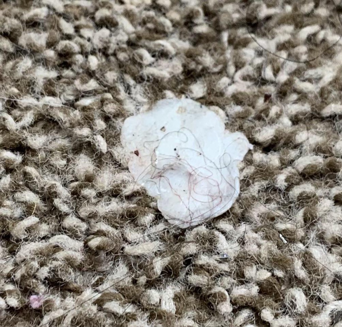 Kaugummi auf dem Teppich? Die Salzlösung, die Profis verwenden - image 1