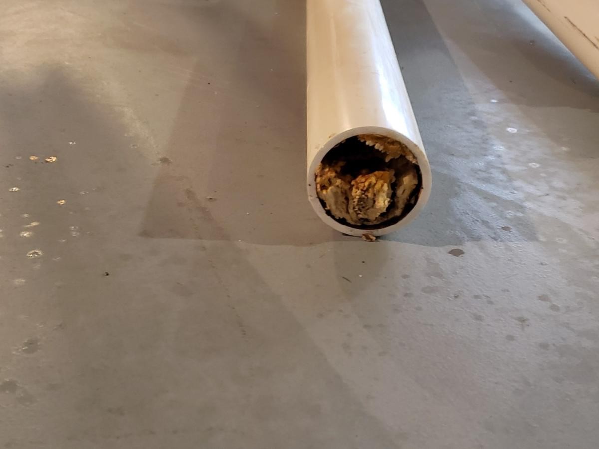 Klempner warnen: Diese drei Sachen gehören nie in die Spüle - image 2