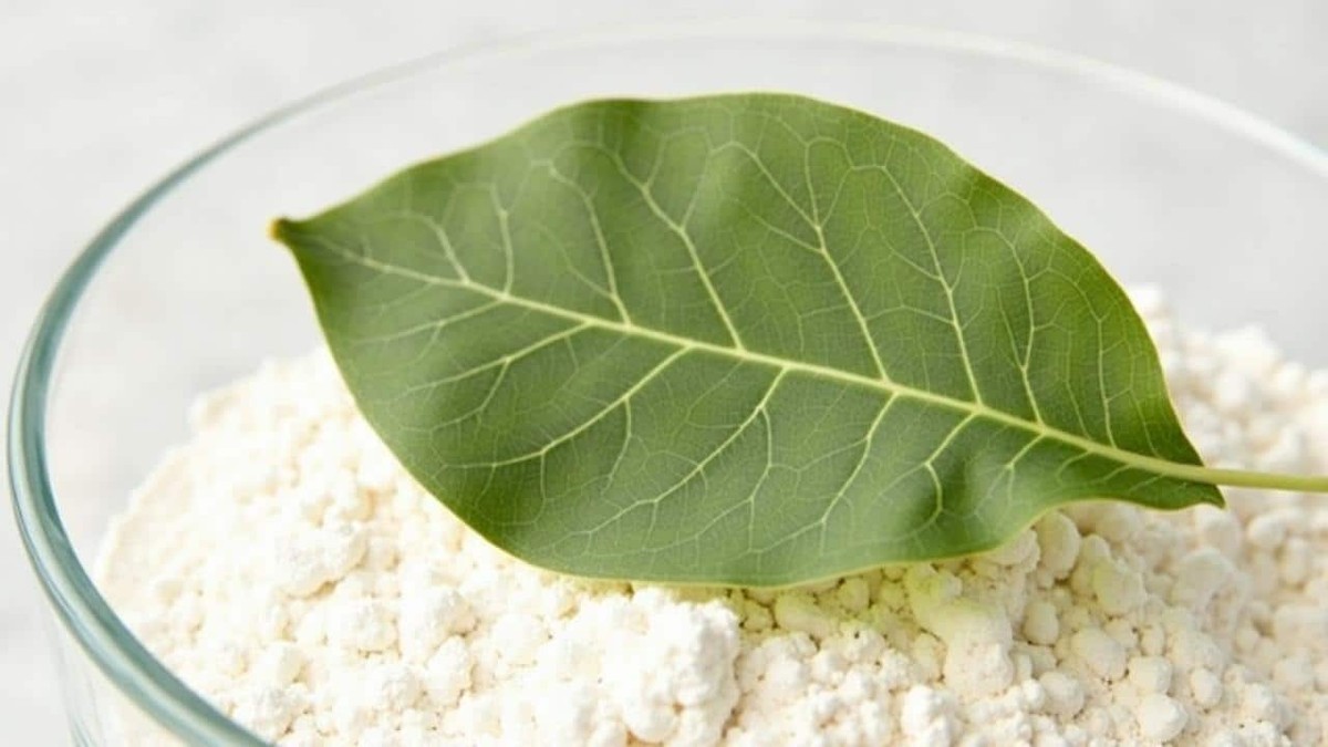 Lorbeerblatt ins Mehl – die 100 Jahre alte Pest-Lösung - image 1