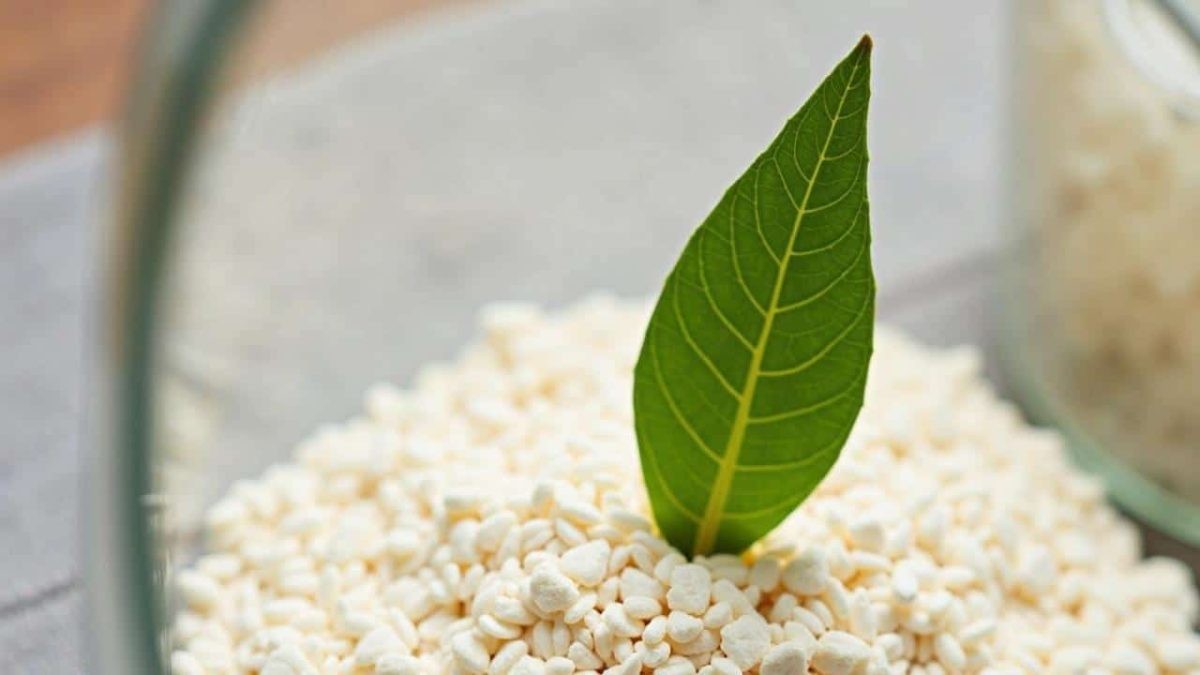 Lorbeerblatt ins Mehl: Das 100 Jahre alte Geheimnis gegen Vorratsschädlinge - image 2