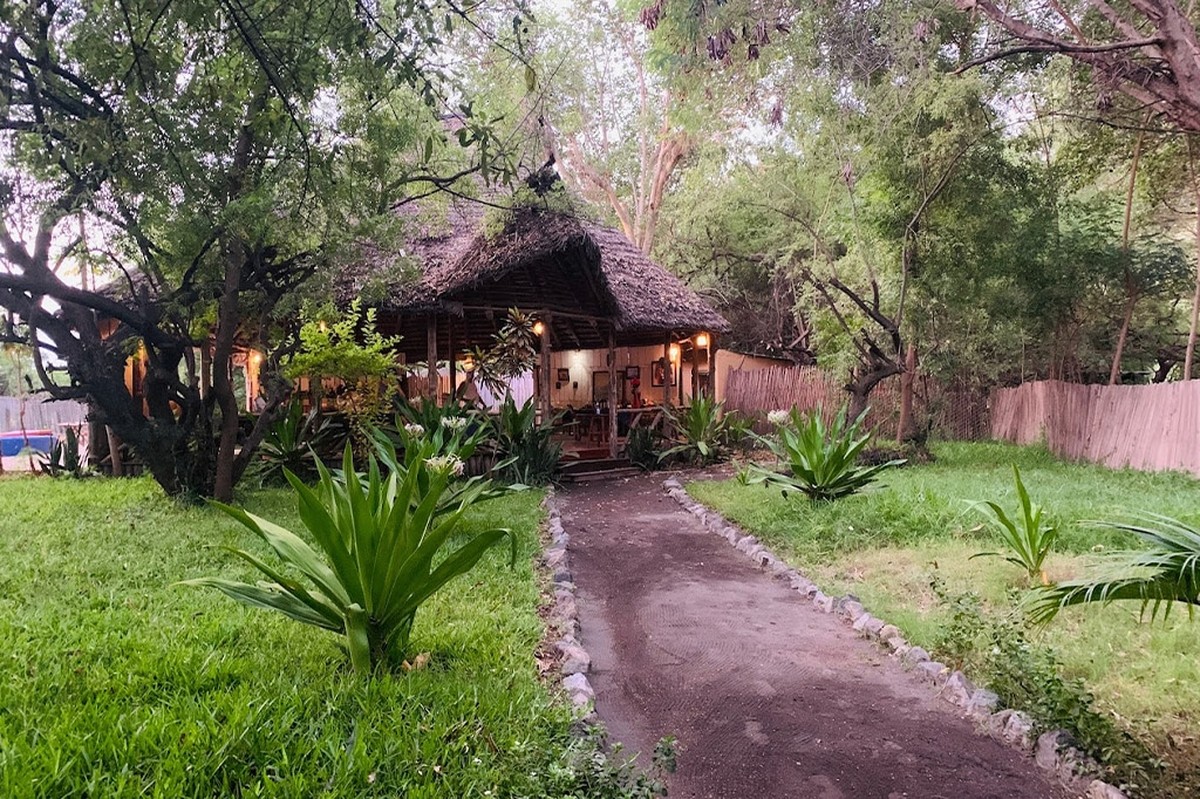 Natron und Seife: Das uralte Rezept gegen hartnäckige Gartenunkräuter - image 1