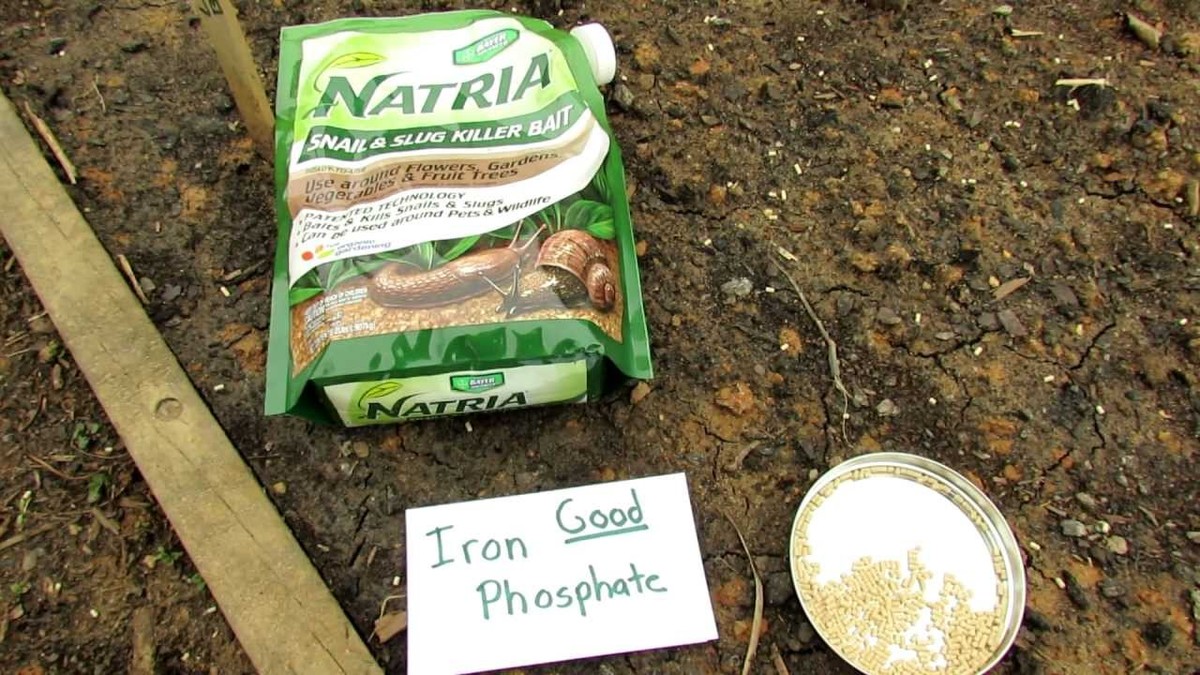 Salzstreuer mit Zucker füllen: Der alte Gärtner-Trick gegen Schnecken im Beet - image 2